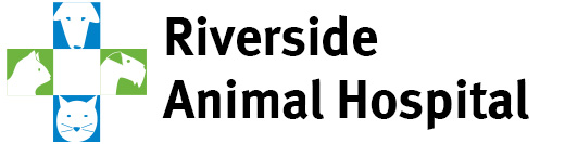 Animal Hospital in East St Louis